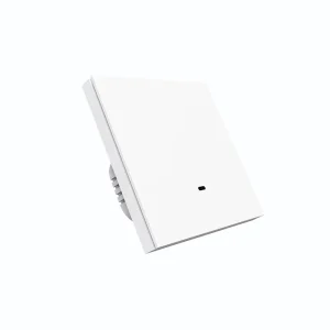 EU 10A 1-Gang Mechanical Smart Light Switch with Remote Control
