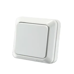 EU Standard 250V CE ABS One Gang Wall Switch and Socket with Indicator