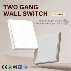 Electrical Fittings for Home Light Switch EU Standard 2 Gang 1 Way Wall Power Switch with Soft Touch 80*73.5mm