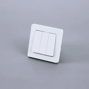 European Indoor 2 Key/3 Key Wall Switch 10A