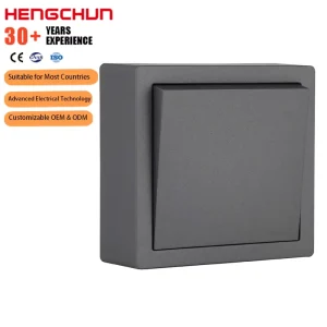 European Standard 10A 250V Electric Wall Power Switch 1 Gang 1 Way 2 Way Push Button Grey Elegant Home Wall Switches