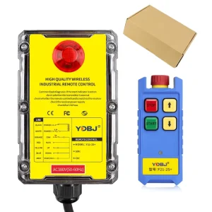 F21-2S+ Waterproof Drop-Resistant Single-Speed Wireless Electric Hoist with Switch Station Remote Control