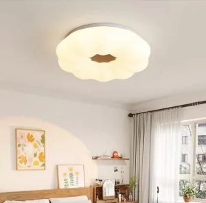 Factory Ceiling Lights for Living Room