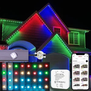 Factory Custom Christmas Light 12V LED Decorative Lighting Smart LED Strip Light