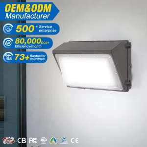 Factory Direct Sales IP65 Waterproof Outdoor Wall Mounted LED Wall Lamp 60W 100W 120W