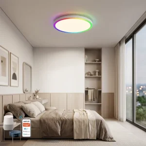 Factory Direct Ultra-Slim Surface-Mounted LED Ceiling Lamp Smart App Control