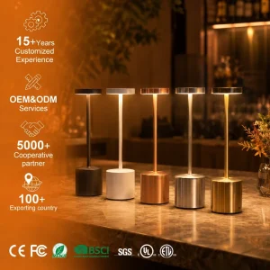 Factory Home Decor Bedside Restaurant Bar Dining Bedroom Touch Control Wireless USB Rechargeable LED Table Lamp