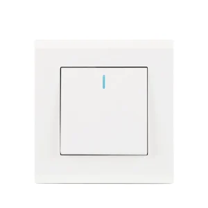 Factory ODM OEM PC Panel Wall Switch 16A Touch 1 Gang Switch