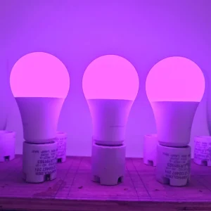 Factory OEM Red Blue LED Grow Light Bulb E26 120V Dimmable Flicker Free Plant Grow Lamp for Greenhouse Hydroponic Farm