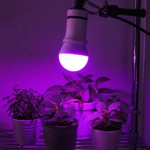 Factory Red Blue LED Grow Bulb E26 120V Dimmable Flicker Free Plant Growth Light for Hydroponic Greenhouse