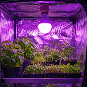 Factory Supplier Flicker Free Dimmable Red Blue Spectrum E26 Grow Bulb for Indoor Plants