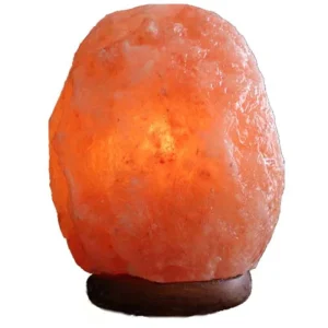 Factory supplied Himalayan Rose salt Crystal Lamps Modern Minimalist Design Stepless Dimming DIY Aromatherapy Night Lights