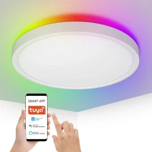 Fast Delivery 12inch 24W Smart Tuya Wifi Indoor Round RGB Led Ceiling Light