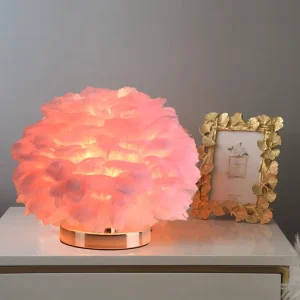 Feather desk lamp light luxury Instagram creative touch warm and romantic girl USB decorative night light