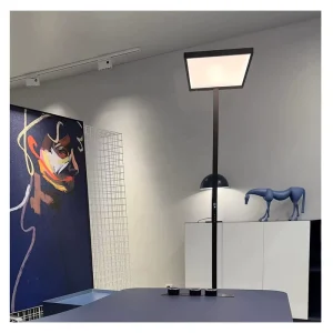 Floor Lamp Zhongshan Unique Standing Modern Design New Black Led Floor Lamp for Living Room corner home office study Floor Lamps