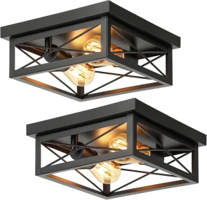 Flush Mount Ceiling Lights Fixtures Modern 2 Light Close to Ceiling Lighting Living Room Remote Control LED