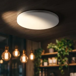 Full Plastic Led Ceiling Light 12W Diameter 220mm LED Ceiling Lamps