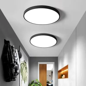Good Design Mount Ceiling Light Modern Led Ceiling Decoration Light