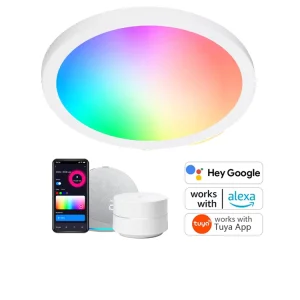 Google Assistant Tuya App RGB Dimmable WiFi 24W Flush Mount Smart LED Aluminum Ceiling Light White 5 Year Warranty Living Room