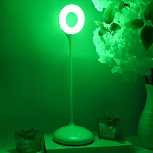 Green Light Battery Powered LED Table Lamp Modern Nordic Study Reading Bedroom Bedside Desk Light Middle Size Touch Control