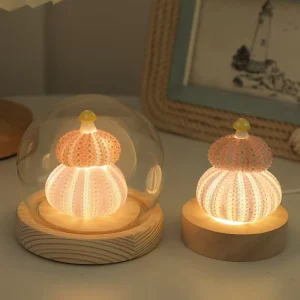 Handmade DIY Shell Mushroom Night Light for Bedroom or Desktop
