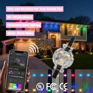 High Brightness 12V 24V 36V Permanent Outdoor Led Point Lights Smart App Controller IP68 Weatherproof House Christmas Lighting