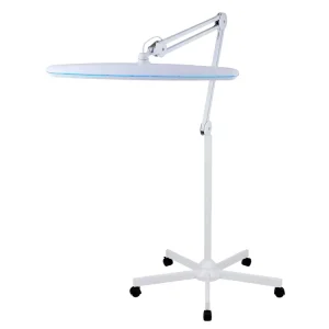 High Lumen Light Changeable LED Dimmable Desk Light for Drawing Beauty Equipment Illuminated Workbench Desk Clamp Lamp