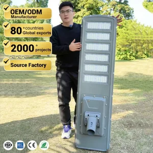 High Power Outdoor Waterproof Ip65 Smart 600W Smart Integrated Led Solar Street Lights With Motion Sensor