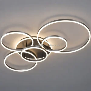 High Quality Creative Modern Aluminium Ring LED Ceiling Lights for Restaurant Home Bedroom Living Room Nordic Ceiling Lamps