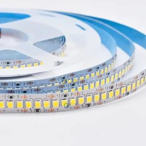 High Quality Warm White Light Led Strip 12v 2835 10mm 240 Led