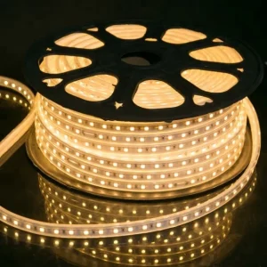 High Voltage LED Flex Strip 220V 5050 RGB IP65 Waterproof Dimmable Remote Control Indoor Outdoor Landscape Lighting