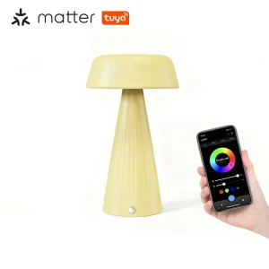 Home Cordless Rechargeable LED Colorful Night Light Dimmable Timer APP Control Tuya Wifi Bluetooth Smart Matter Table Lamp