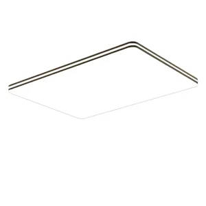 Home Living Room Hallway and Master Bedroom Surface-Mounted Ceiling Light