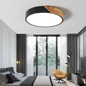 Hot Selling Ultra Thin Ceiling Light Round Panel Light Black Metal and Acrylic 24W 6000K Surface Mounted for Bedroom Living Room
