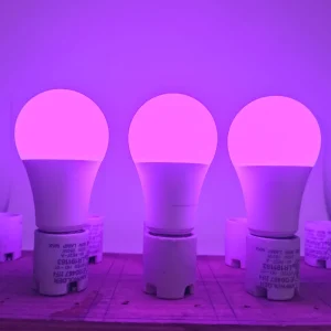Household Red Blue LED Grow Bulb Dimmable Flicker Free E26 120V Small Plant Light for Indoor Houseplants Succulents Orchids