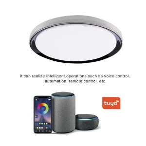IP20 Round Ultra-Thin PC LED Ceiling Light with Remote Control