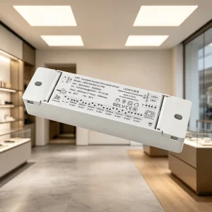 IP20 Zigbee Dimmable Presence Sensing Radar LED Driver Transformer 8W 12W 20W 30W 40W 50W