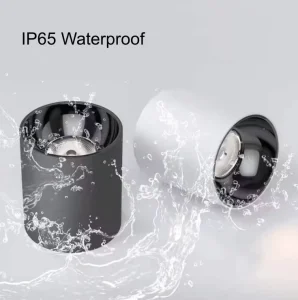 IP65 Downlight for Indoor Area 10W 20W 30W Surface Mounted Ceiling Lamp