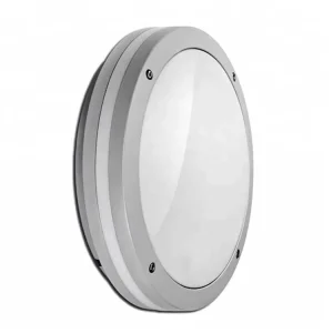 IP65 IK10 10W 20W 30W Waterproof Outdoor Ceiling Light 30W LED Ceiling Light for Outdoor