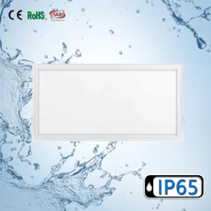 IP65 Waterproof 48W LED Panel Ceiling Light Aluminum Fram White SMD2835 CRI90 High Efficiency Remote Control Dimmable Lighting