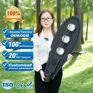 IP66 Waterproof Outdoor COB LED Street Light, AC85-277V, 30W 50W 100W 150W 200W 250W