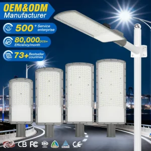 IP66 Waterproof Outdoor Die-Cast Aluminum 50W 100W 150W 200W LED Street Light
