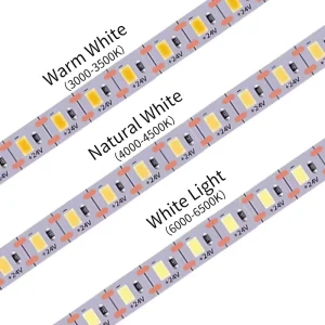 IP67 Waterproof DC5V 12V 24V 120 LEDs/m Customizable SMD2835 LED Strip Light Remote Control Landscape