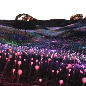 IP68 Rated Outdoor Fiber Optic LED Ball Bulb Garden Decor Lights DC Power Park Landscape Lamp 7 Color Changeable Rechargeable