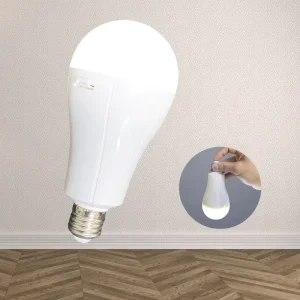 Indoor A19 LED Light Bulb 3W 5W 7W 9W 10W 12W 15W 18W 20W