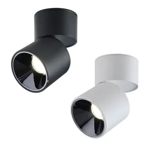 Indoor Cylindrical LED Ceiling Spotlight for School, Wall, and Living Room