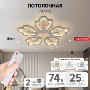 Indoor LED Ceiling Light with Remote Control and Three Color Temperatures