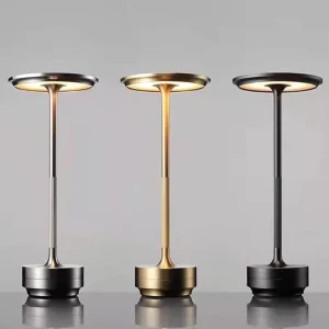 Indoor LED Night Light Table Lamp, Metal USB Lamp for Bedroom or Camping