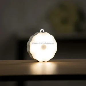 Indoor Motion Sensor LED Night Light with Hooks USB Rechargeable & Plug In Bedroom Use Color Changing Battery Included
