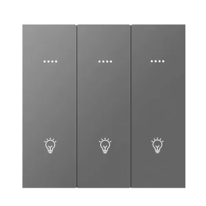 Intelligent Automatic Transfer Switch with WiFi and BLE, Wall-Mounted Smart Light Switch